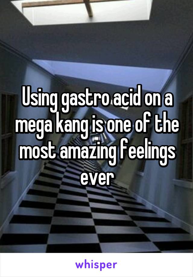 Using gastro acid on a mega kang is one of the most amazing feelings ever