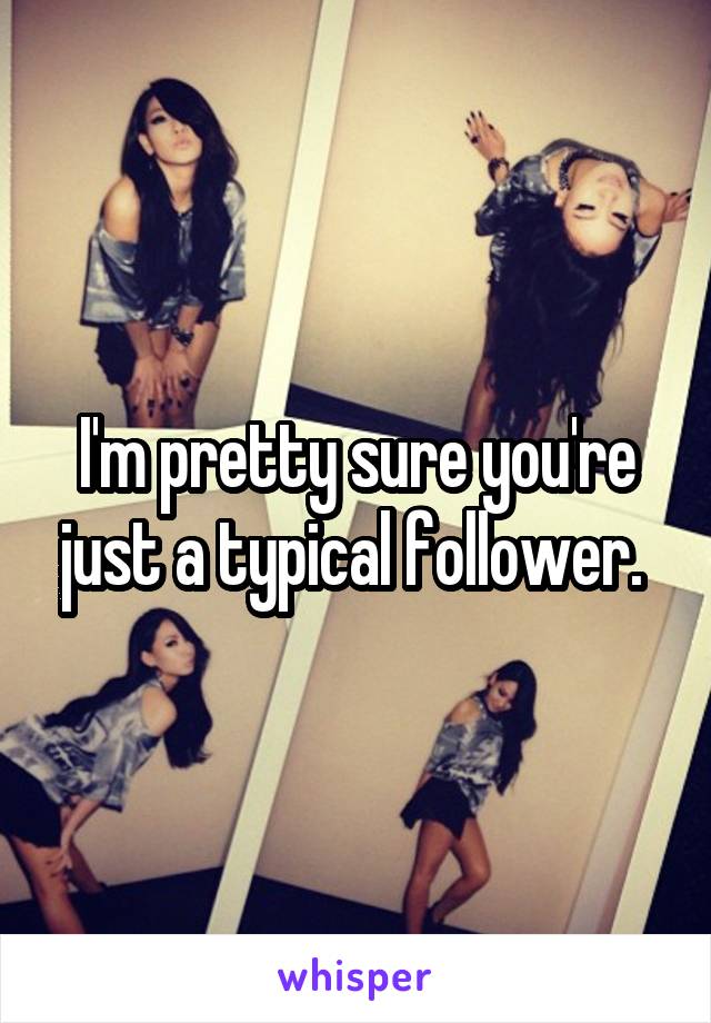 I'm pretty sure you're just a typical follower. 