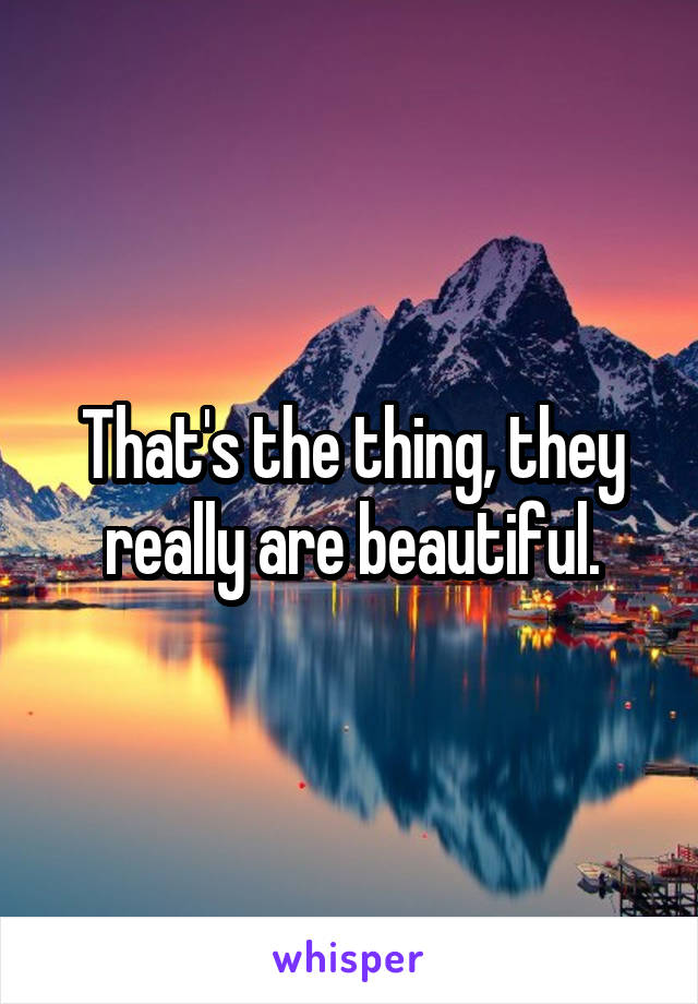 That's the thing, they really are beautiful.