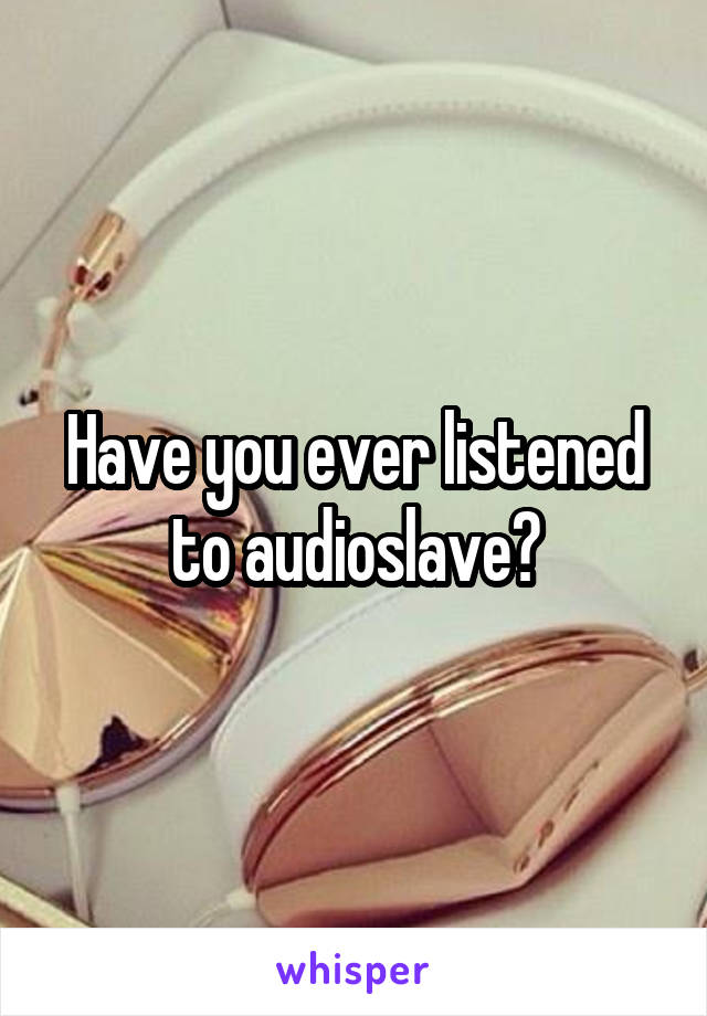 Have you ever listened to audioslave?
