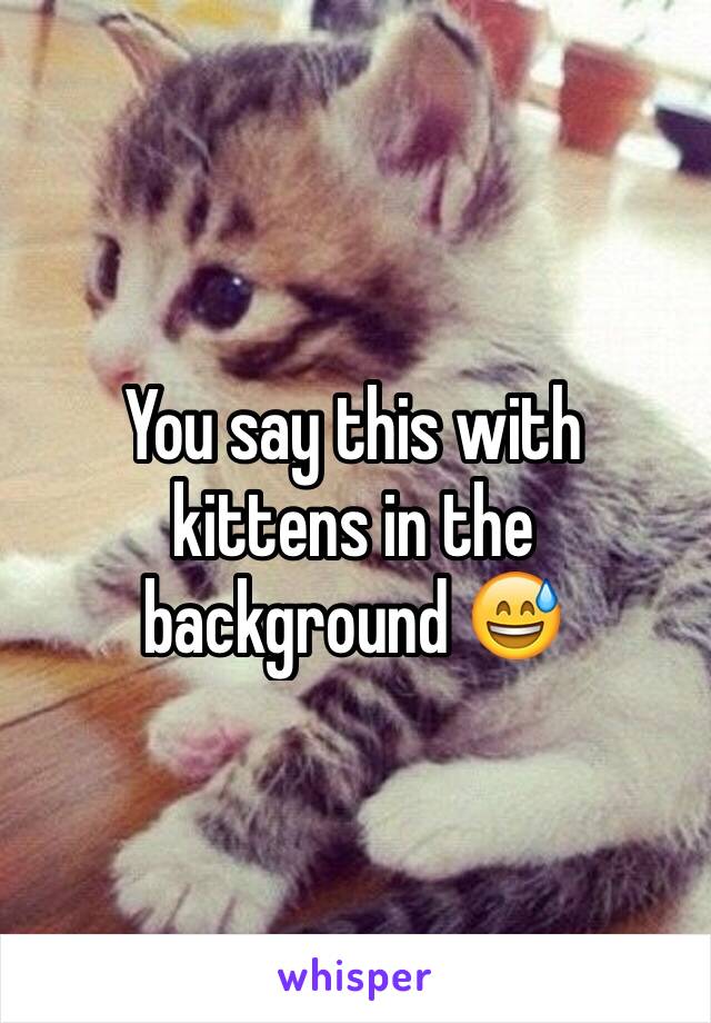 You say this with kittens in the background 😅
