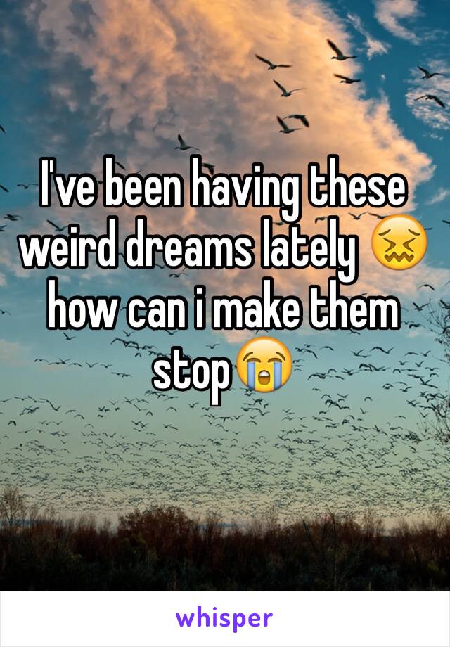 I've been having these weird dreams lately 😖how can i make them stop😭