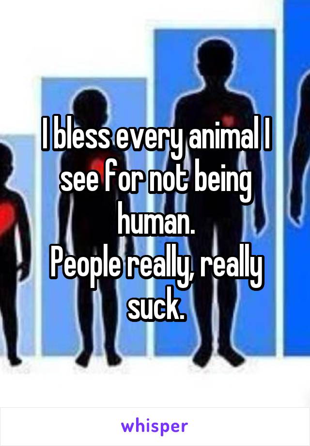 I bless every animal I see for not being human.
People really, really suck.