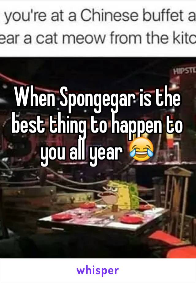 When Spongegar is the best thing to happen to you all year 😂