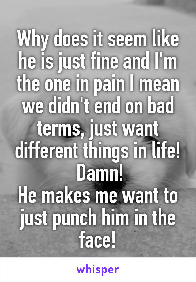 Why does it seem like he is just fine and I'm the one in pain I mean we didn't end on bad terms, just want different things in life!
 Damn!
He makes me want to just punch him in the face!