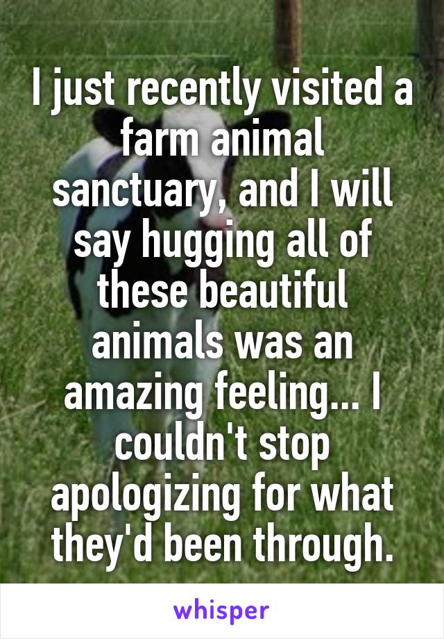 I just recently visited a farm animal sanctuary, and I will say hugging all of these beautiful animals was an amazing feeling... I couldn't stop apologizing for what they'd been through.