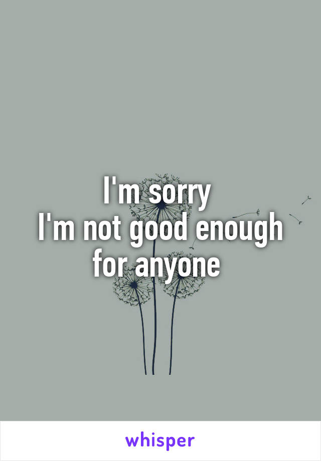 I'm sorry 
I'm not good enough for anyone 
