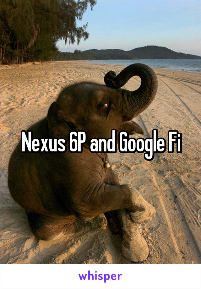 Nexus 6P and Google Fi