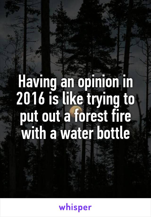 Having an opinion in 2016 is like trying to put out a forest fire with a water bottle