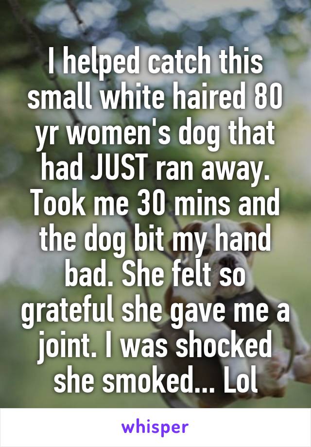 I helped catch this small white haired 80 yr women's dog that had JUST ran away. Took me 30 mins and the dog bit my hand bad. She felt so grateful she gave me a joint. I was shocked she smoked... Lol