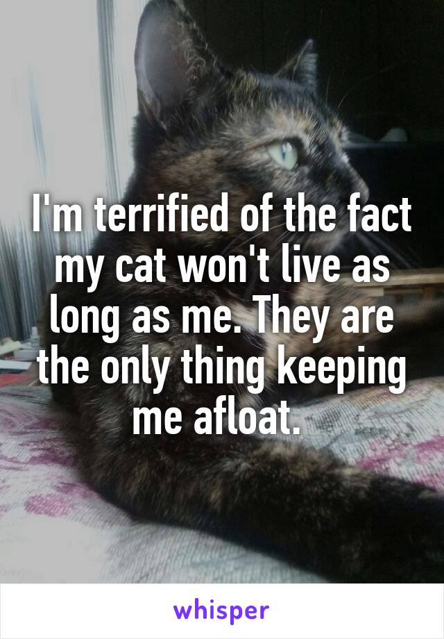 I'm terrified of the fact my cat won't live as long as me. They are the only thing keeping me afloat. 