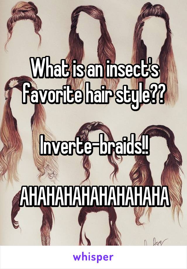 What is an insect's favorite hair style??

Inverte-braids!!

AHAHAHAHAHAHAHAHA