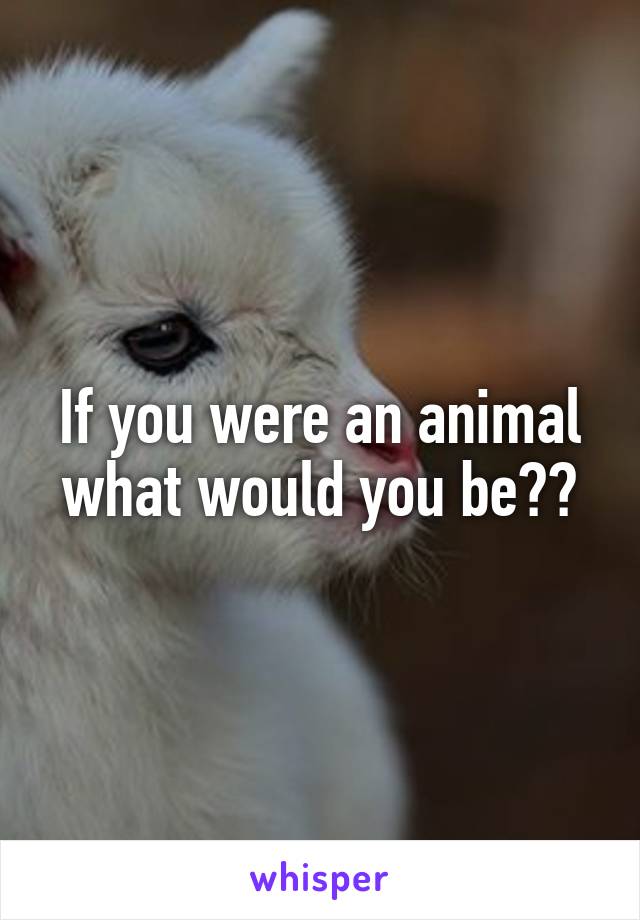 If you were an animal what would you be??