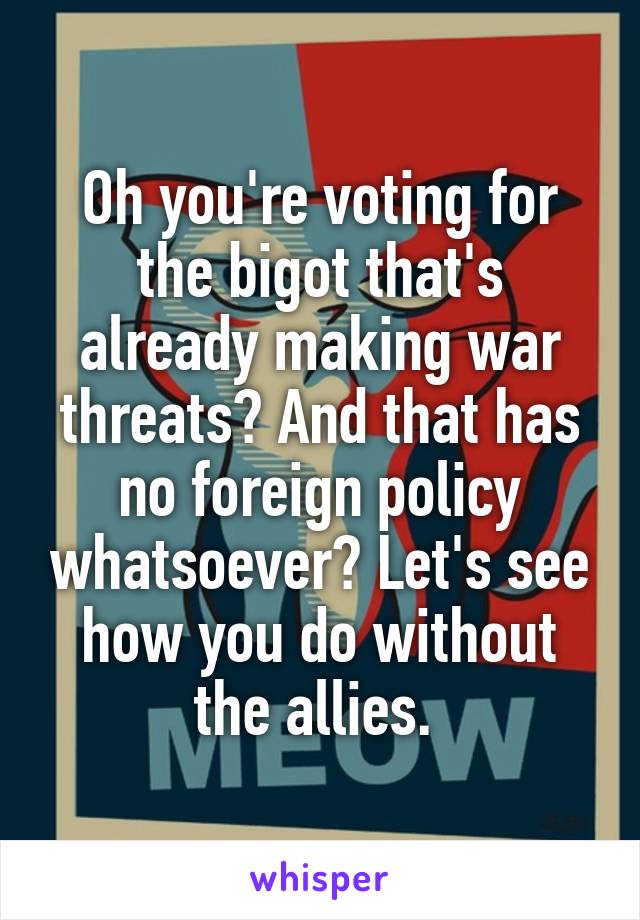Oh you're voting for the bigot that's already making war threats? And that has no foreign policy whatsoever? Let's see how you do without the allies. 
