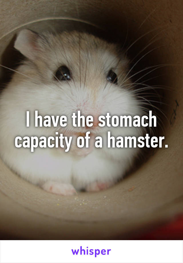 I have the stomach capacity of a hamster.