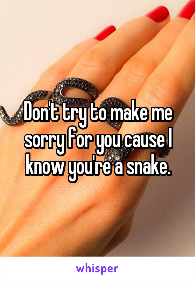 Don't try to make me sorry for you cause I know you're a snake.