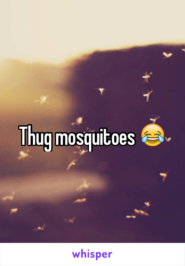 Thug mosquitoes 😂