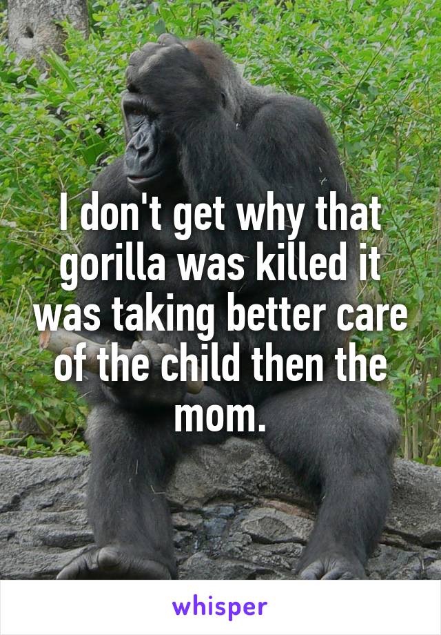 I don't get why that gorilla was killed it was taking better care of the child then the mom.