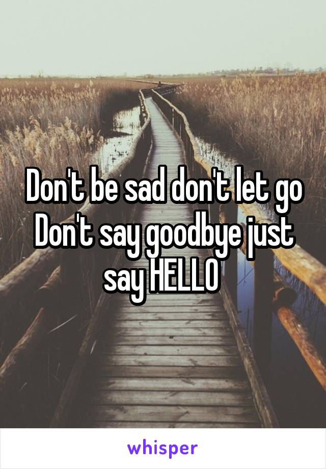 Don't be sad don't let go
Don't say goodbye just say HELLO 