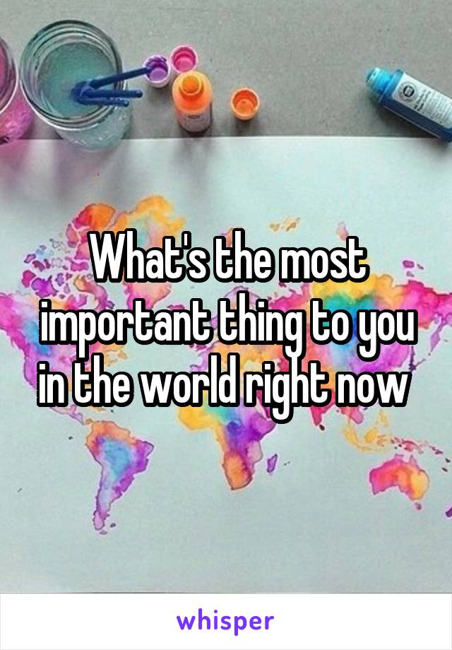 What's the most important thing to you in the world right now 