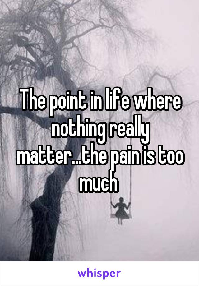 The point in life where nothing really matter...the pain is too much 