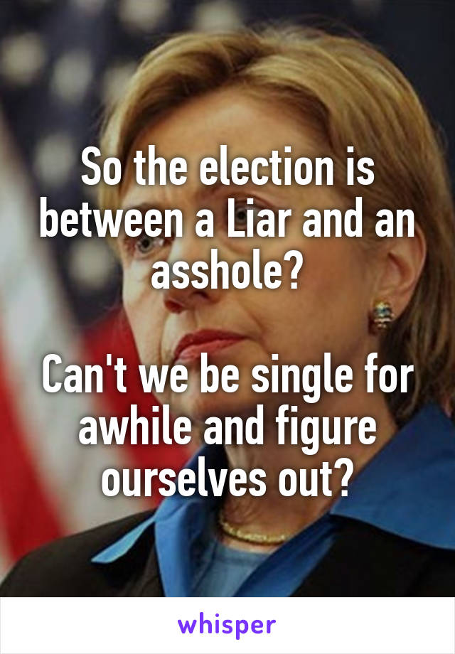 So the election is between a Liar and an asshole?

Can't we be single for awhile and figure ourselves out?
