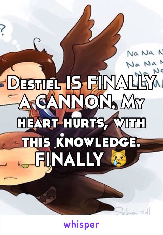 Destiel IS FINALLY A CANNON. My heart hurts, with this knowledge. FINALLY 😿