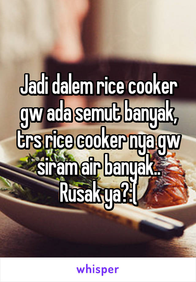 Jadi dalem rice cooker gw ada semut banyak, trs rice cooker nya gw siram air banyak..
Rusak ya?:(