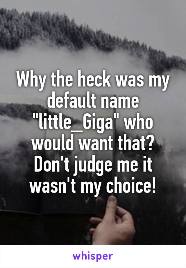 Why the heck was my default name "little_Giga" who would want that? Don't judge me it wasn't my choice!