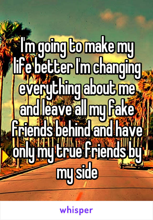 I'm going to make my life better I'm changing everything about me and leave all my fake friends behind and have only my true friends by my side