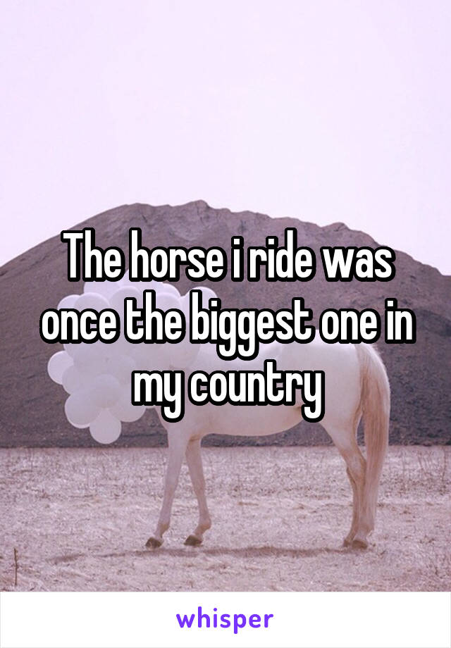 The horse i ride was once the biggest one in my country