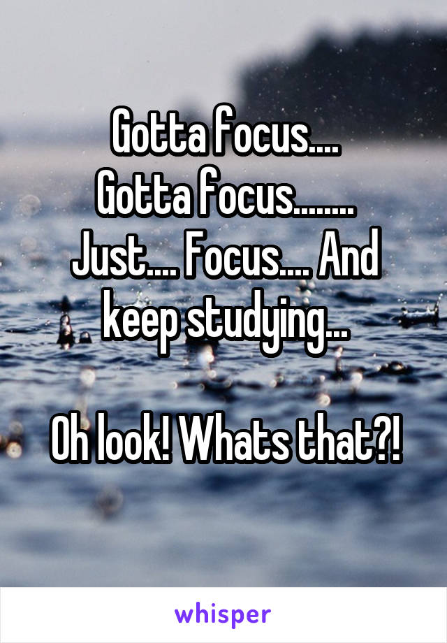 Gotta focus....
Gotta focus........
Just.... Focus.... And keep studying...

Oh look! Whats that?!
