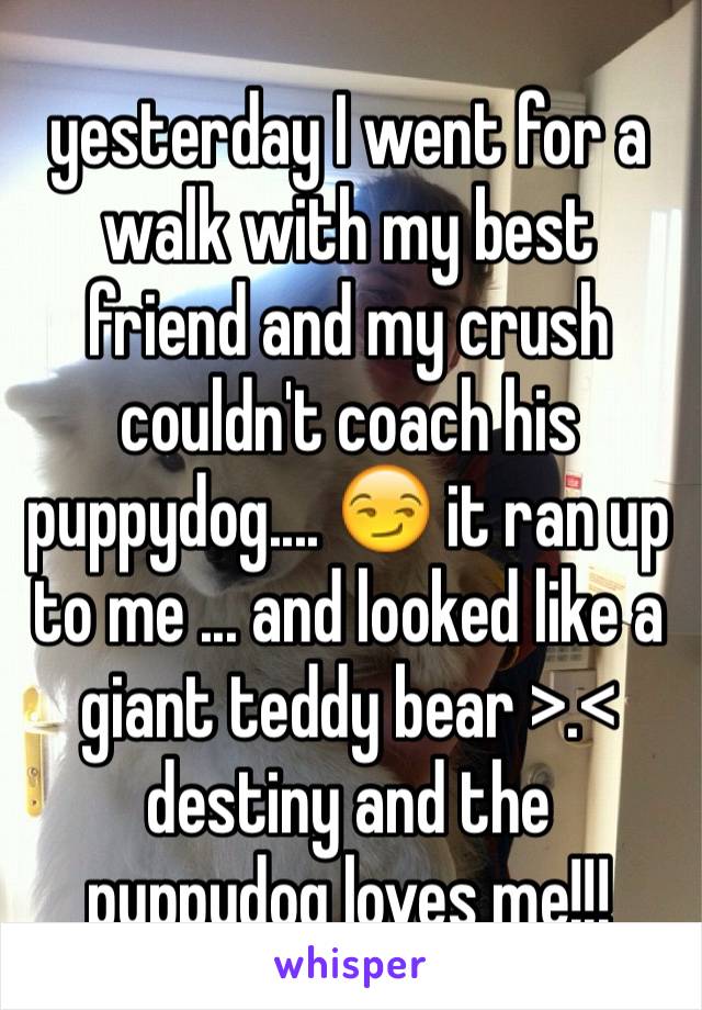 yesterday I went for a walk with my best friend and my crush couldn't coach his puppydog.... 😏 it ran up to me ... and looked like a giant teddy bear >.< destiny and the puppydog loves me!!! 
