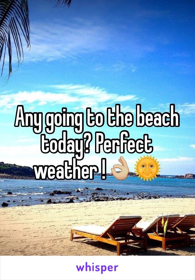 Any going to the beach today? Perfect weather !👌🏼🌞