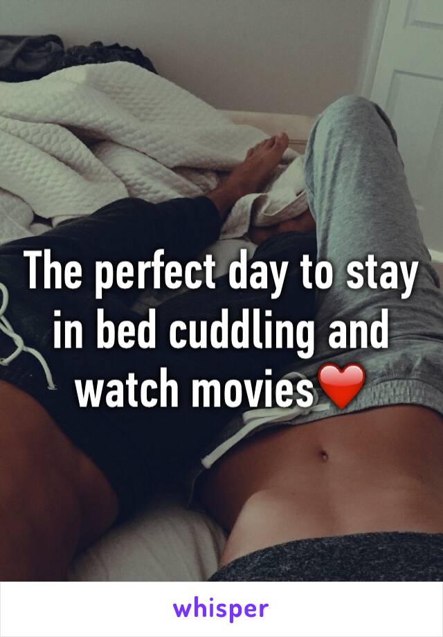 The perfect day to stay in bed cuddling and watch movies❤️