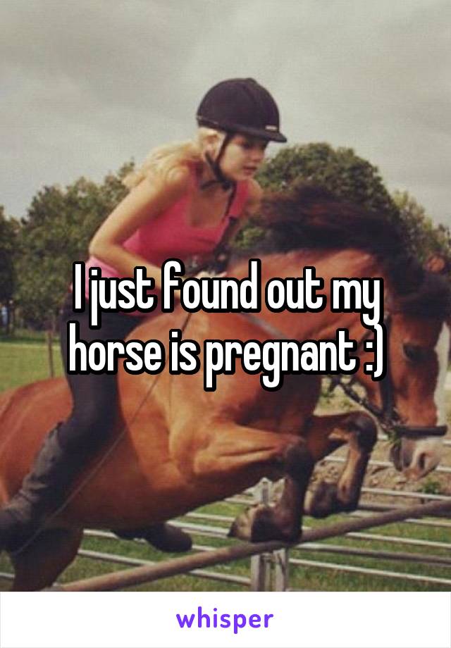 I just found out my horse is pregnant :)