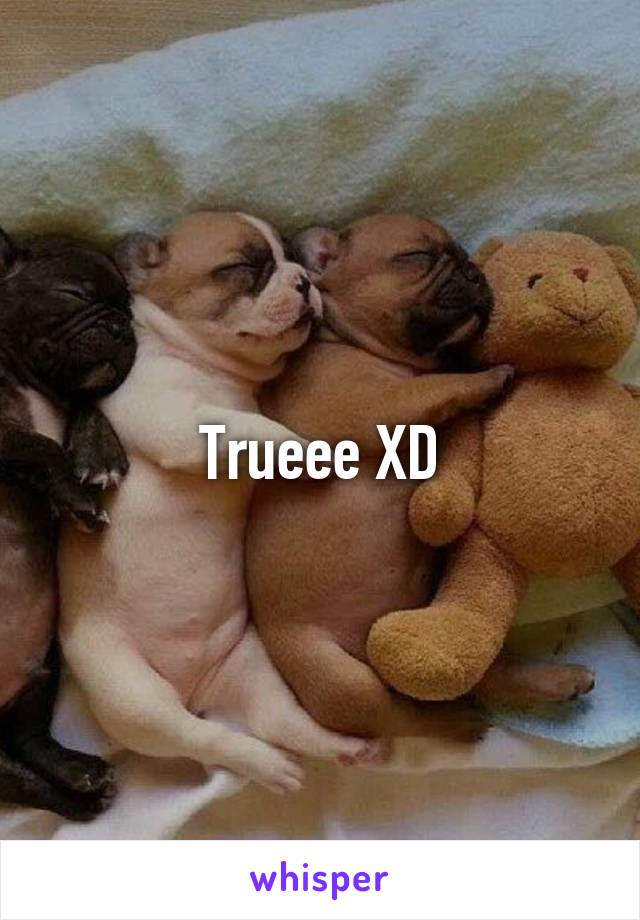 Trueee XD