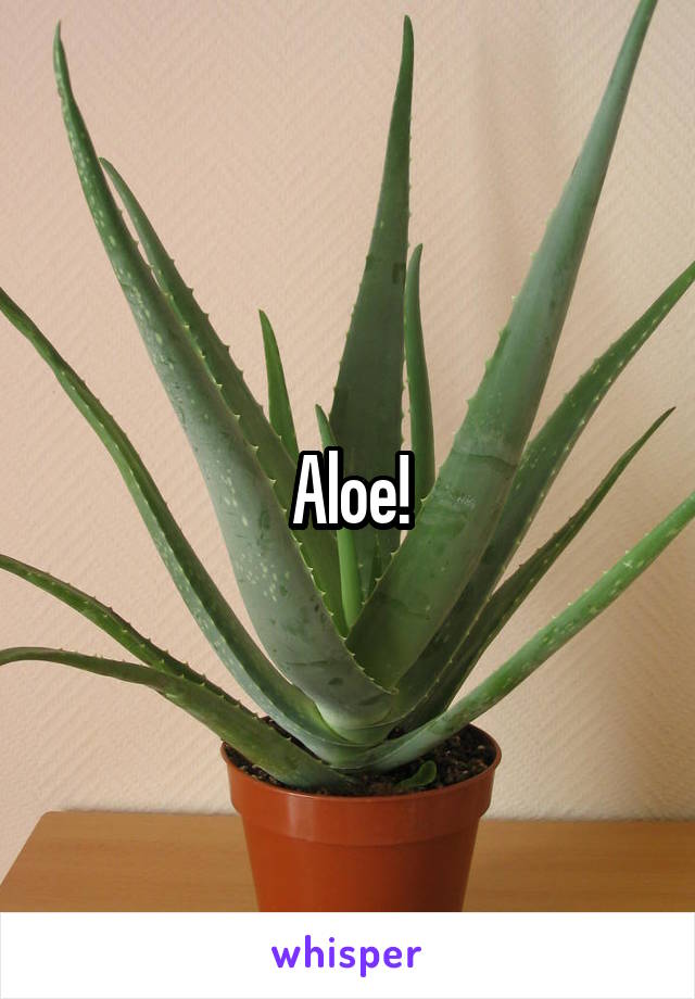 Aloe!