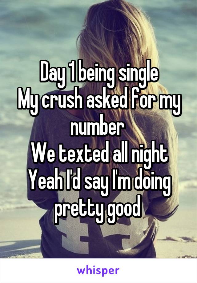 Day 1 being single
My crush asked for my number 
We texted all night
Yeah I'd say I'm doing pretty good 