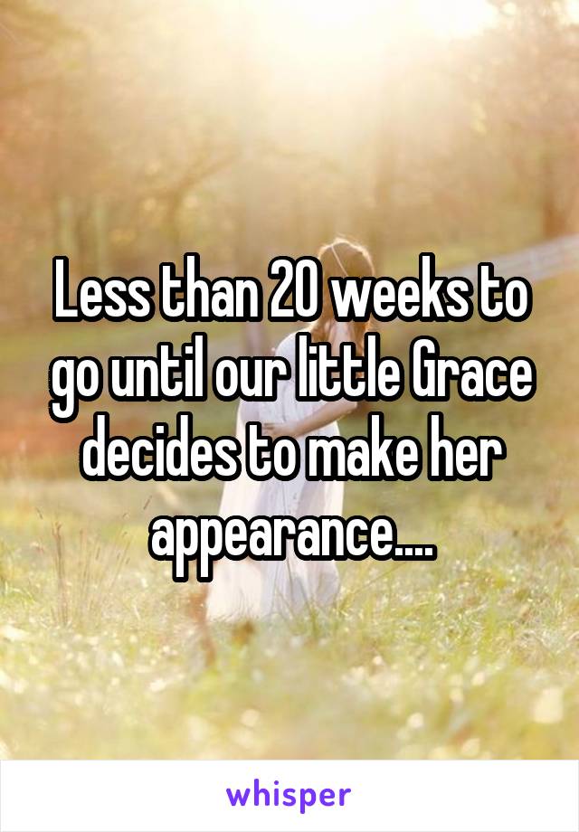 Less than 20 weeks to go until our little Grace decides to make her appearance....