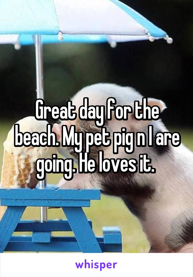 Great day for the beach. My pet pig n I are going. He loves it. 