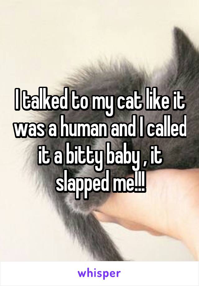 I talked to my cat like it was a human and I called it a bitty baby , it slapped me!!!