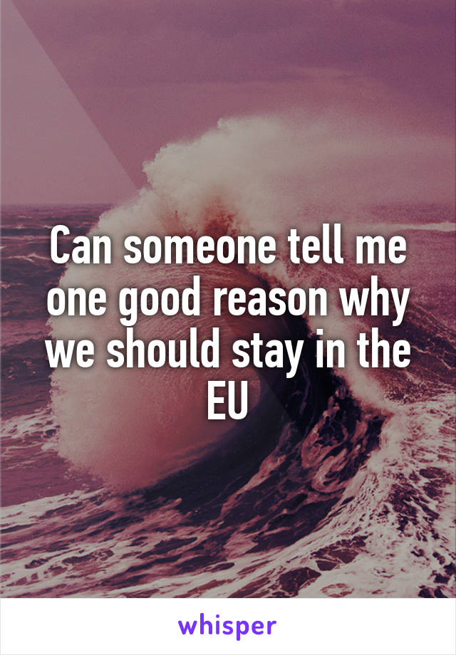 Can someone tell me one good reason why we should stay in the EU