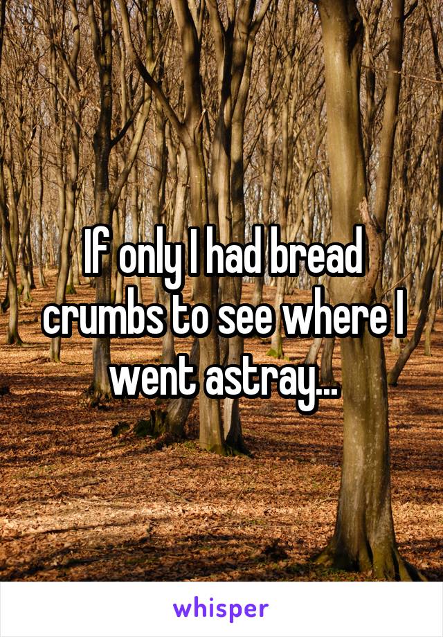 If only I had bread crumbs to see where I went astray...