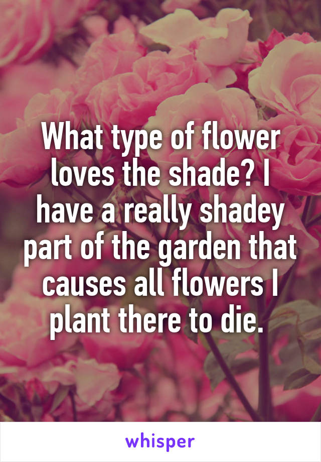 What type of flower loves the shade? I have a really shadey part of the garden that causes all flowers I plant there to die. 