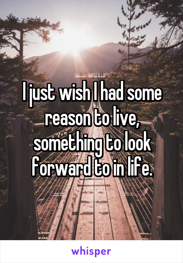 I just wish I had some reason to live, something to look forward to in life.