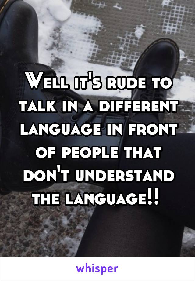 Well it's rude to talk in a different language in front of people that don't understand the language!! 