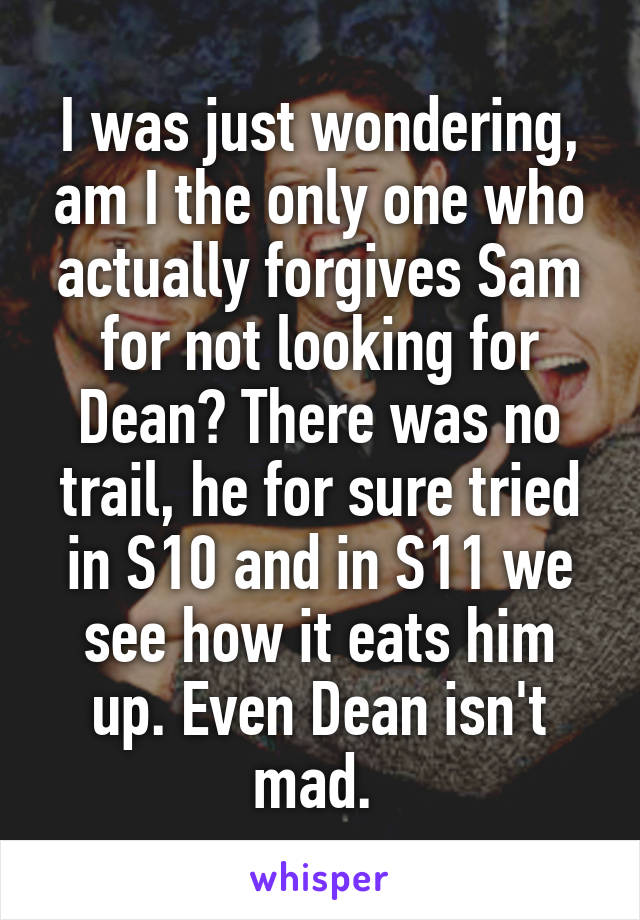 I was just wondering, am I the only one who actually forgives Sam for not looking for Dean? There was no trail, he for sure tried in S10 and in S11 we see how it eats him up. Even Dean isn't mad. 