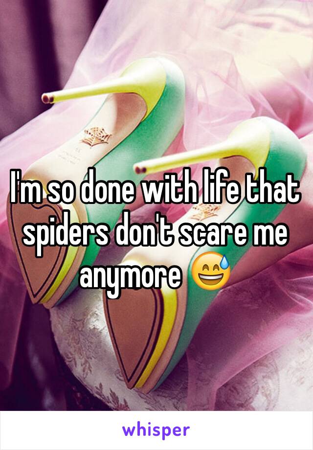 I'm so done with life that spiders don't scare me anymore 😅