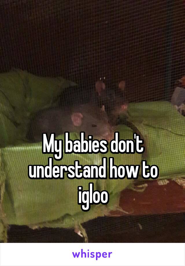 


My babies don't understand how to igloo